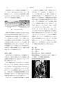 2015鹿児島県臨床外科27巻