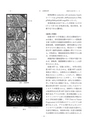2015鹿児島県臨床外科27巻