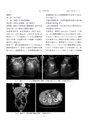 2015鹿児島県臨床外科27巻