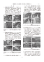 2018鹿児島県臨床外科30巻